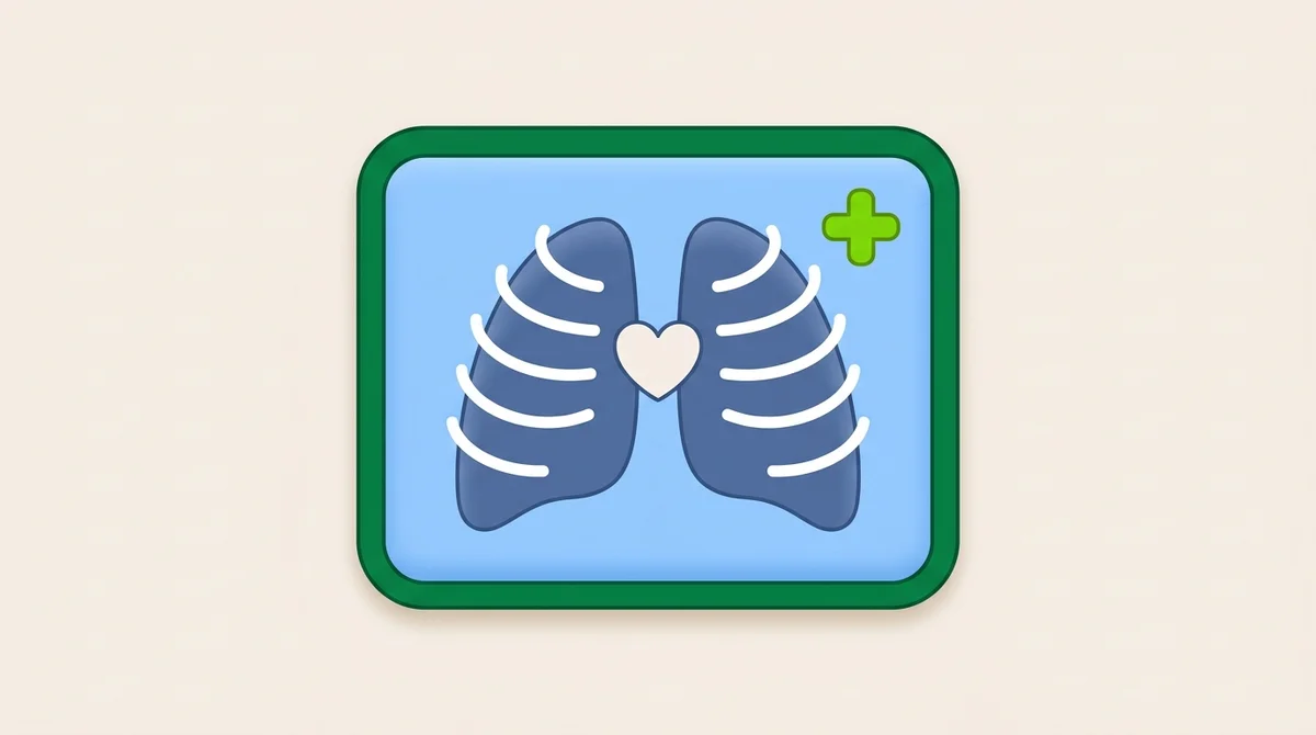 Illustration for the Thorax and Abdomen ARRT category